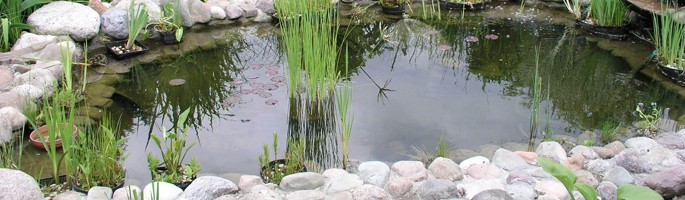 Garden ponds