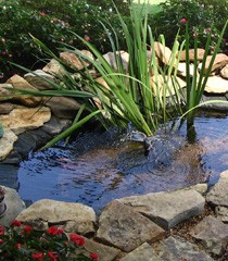 Garden Ponds